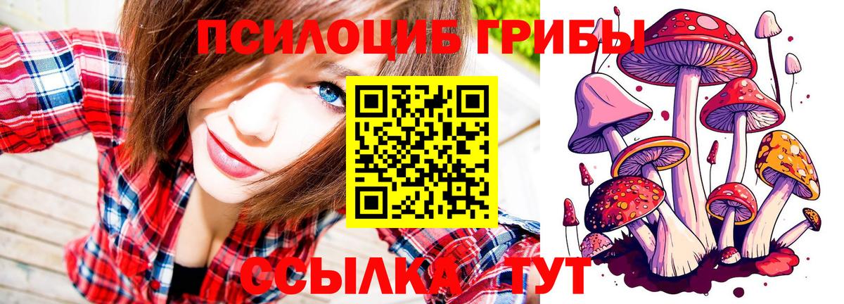 Псилоцибиновые грибы мухоморы  Вход с VPN  что такое   Орск 